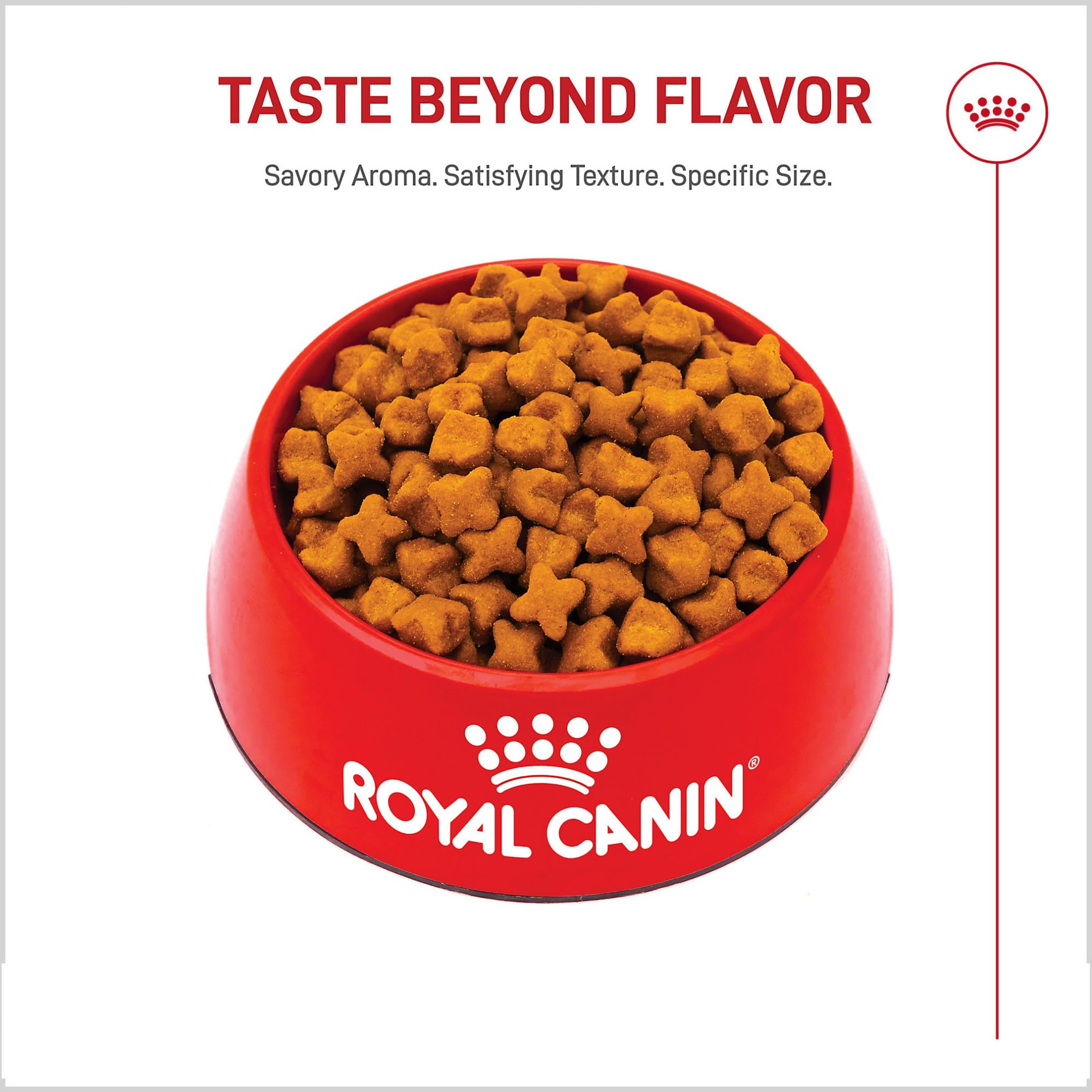 ROYAL CANIN sac à côté d’autres produits pour comparaison de taille et poids du sac