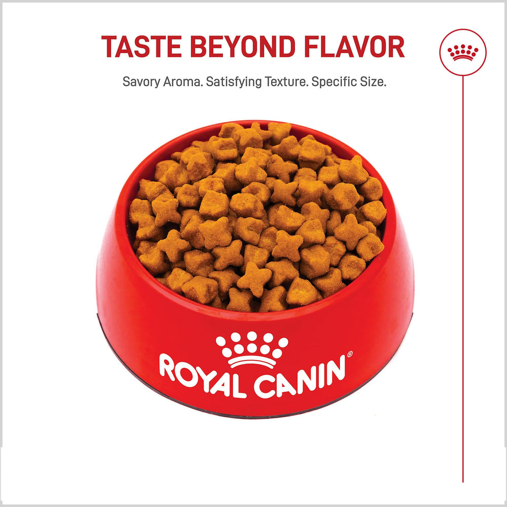 ROYAL CANIN sac à côté d’autres produits pour comparaison de taille et poids du sac