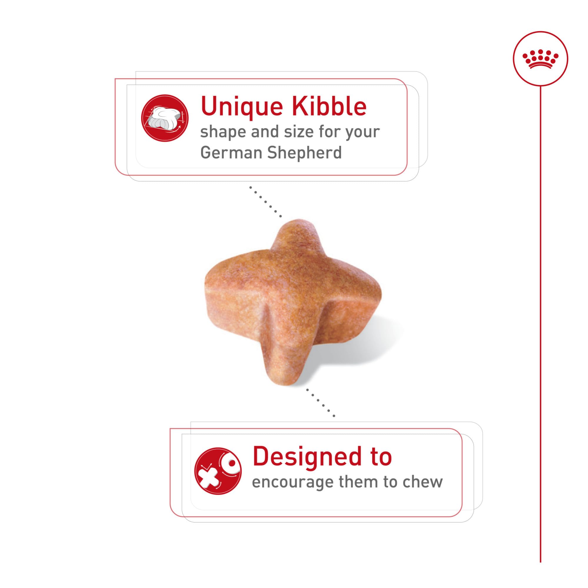 ROYAL CANIN texture croquette détail montrant consistance, aide à la mastication adaptée