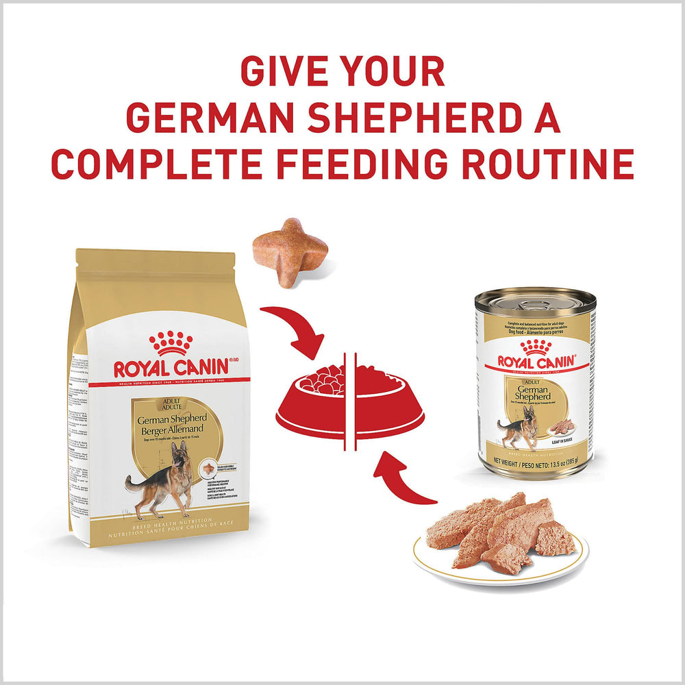 ROYAL CANIN texture de croquette en gros plan pour une prise et mastication optimisées