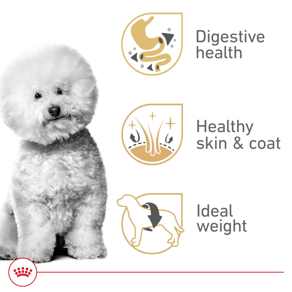 ROYAL CANIN croquettes dans un bol prêtes à nourrir, apport nutritionnel équilibré