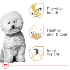 ROYAL CANIN croquettes dans un bol prêtes à nourrir, apport nutritionnel équilibré