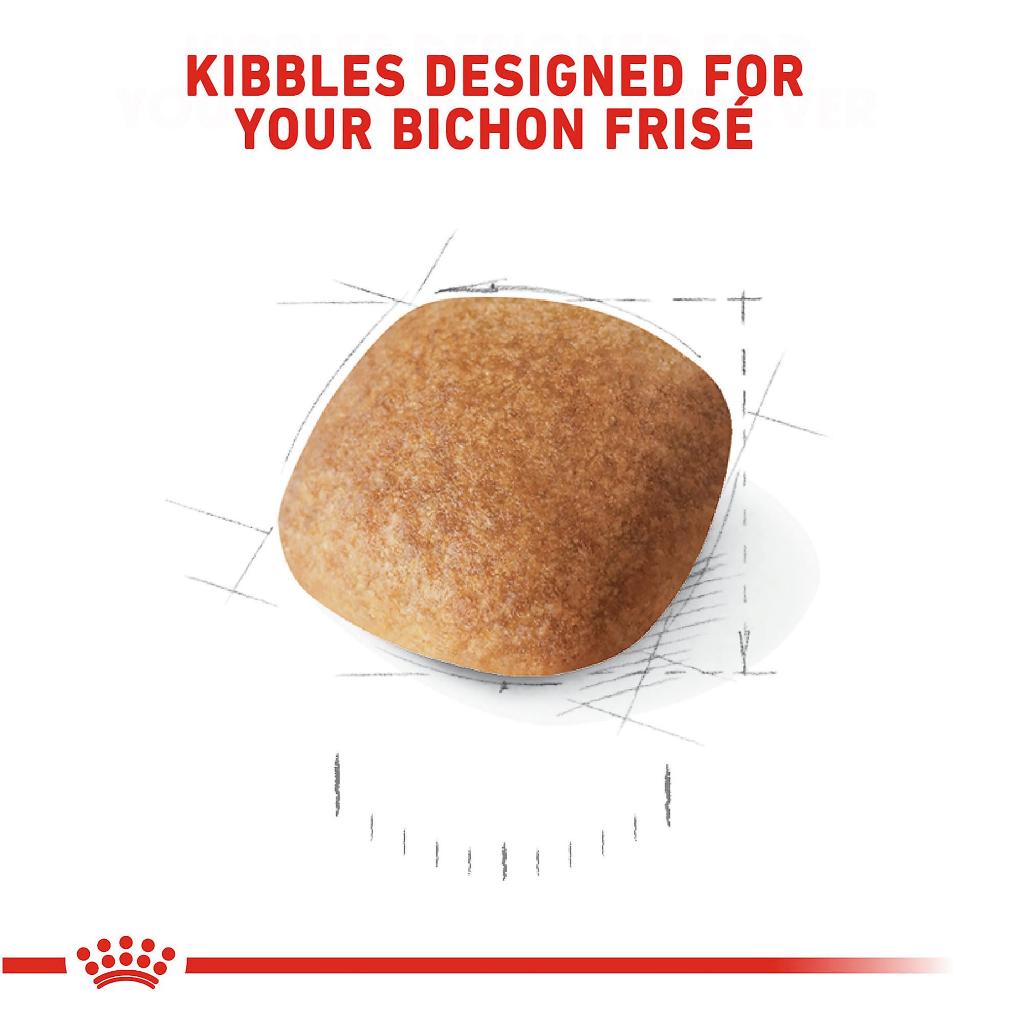 ROYAL CANIN gros plan texture des croquettes pour une mastication confortable