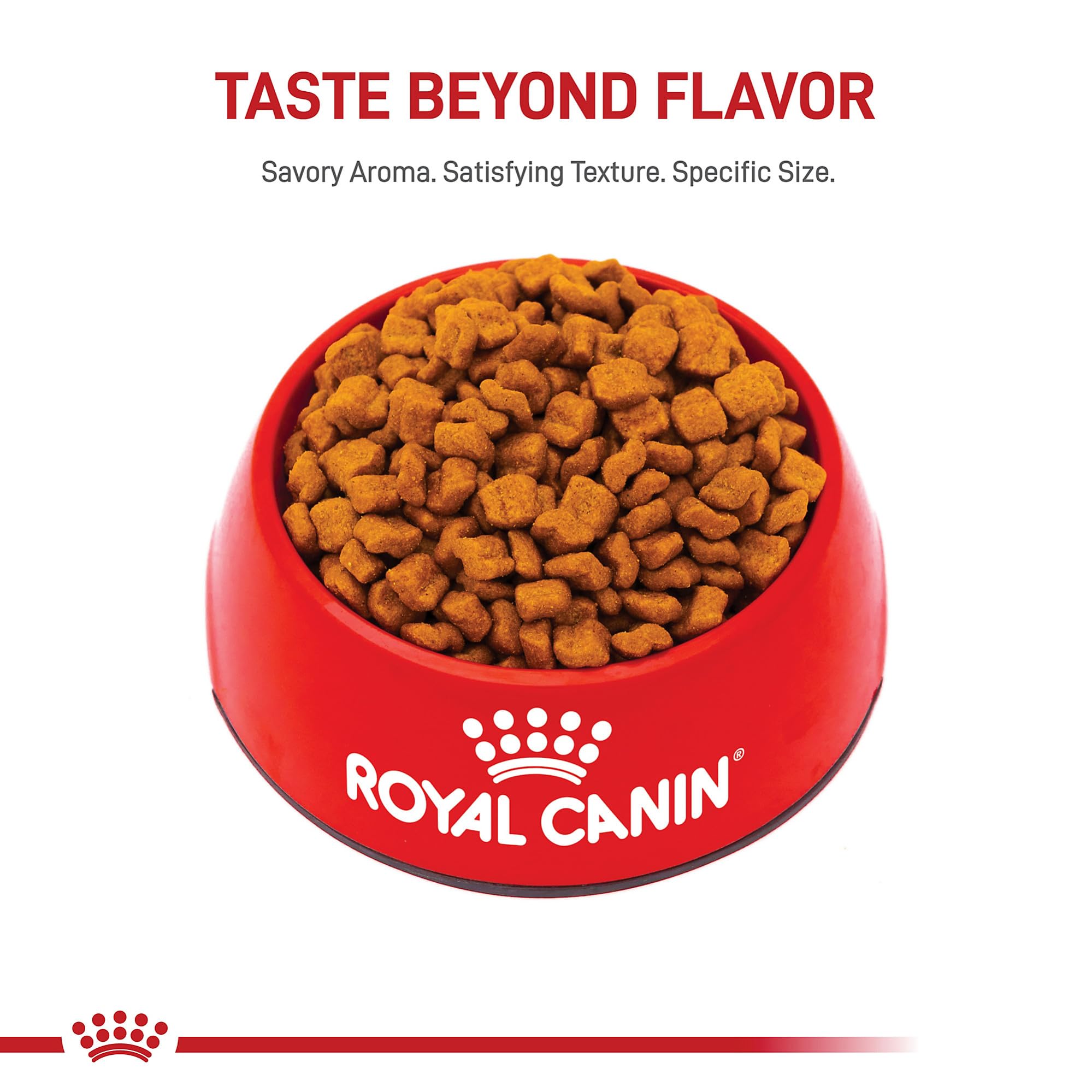 ROYAL CANIN bol rempli montrant portion et appétence maîtrisée