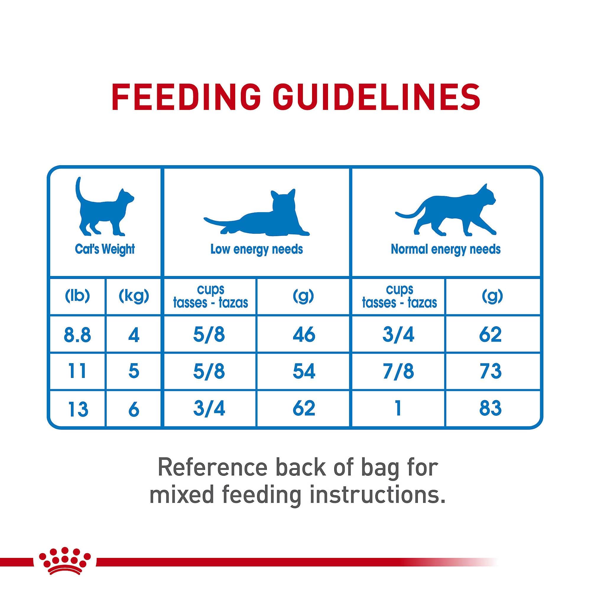 ROYAL CANIN bol mesuré montrant portions recommandées pour gestion poids
