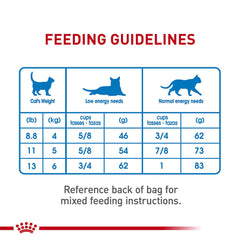 ROYAL CANIN bol mesuré montrant portions recommandées pour gestion poids