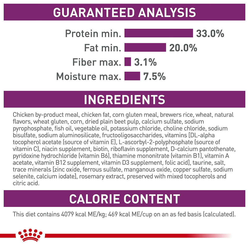 ROYAL CANIN bol servi dans cuisine montrant portion équilibrée