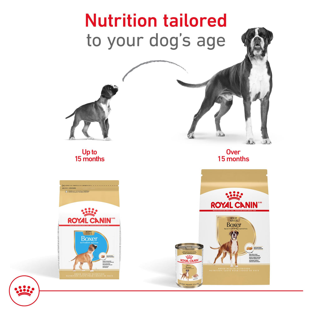 ROYAL CANIN boîtes empilées pour un approvisionnement pratique
