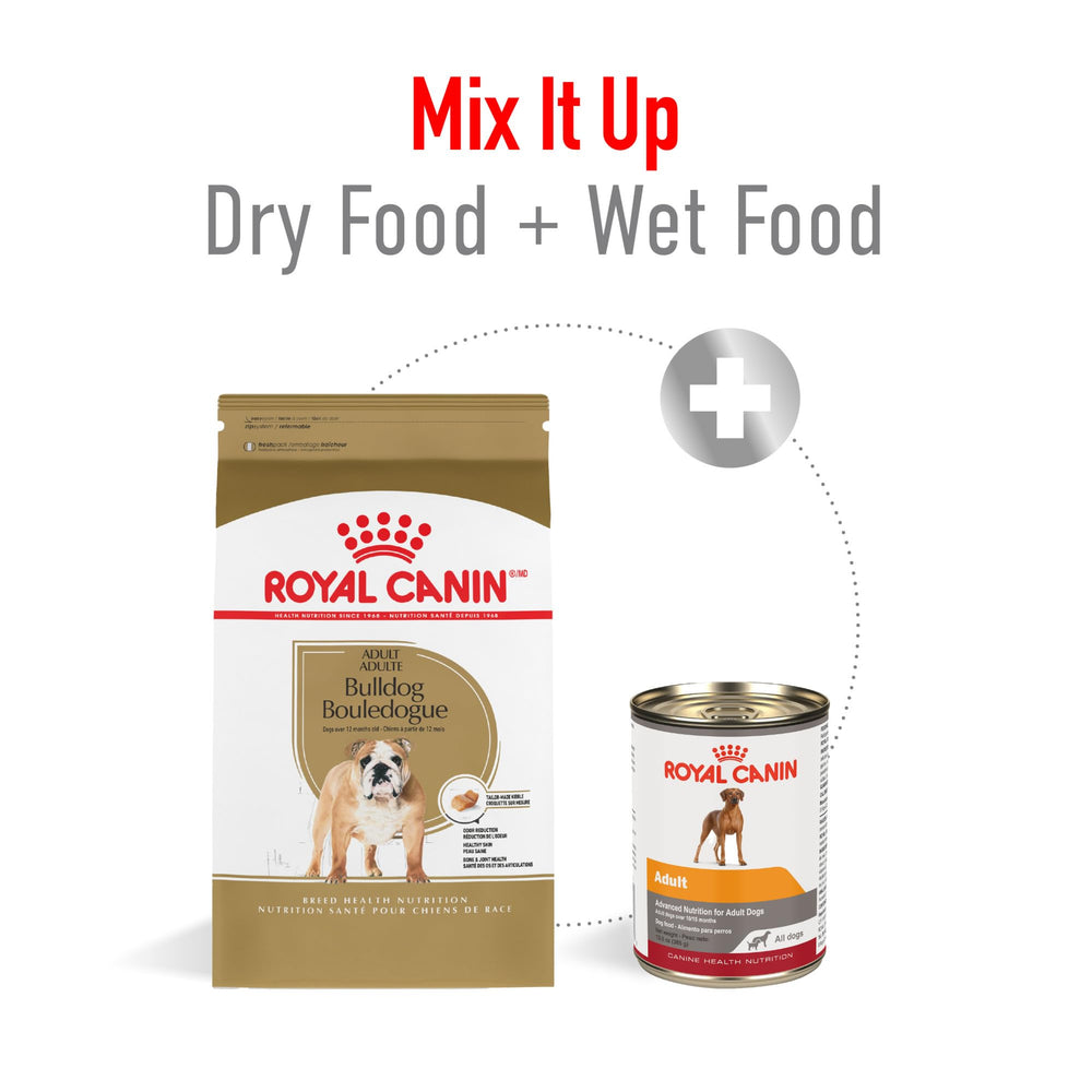 ROYAL CANIN étiquette nutritionnelle montrant informations clés