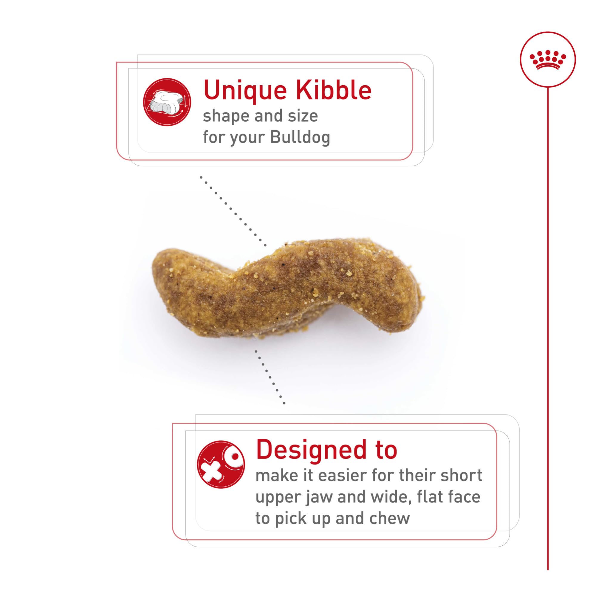 ROYAL CANIN croquette en main illustrant prise adaptée mâchoire