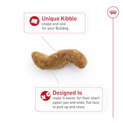 ROYAL CANIN croquette en main illustrant prise adaptée mâchoire