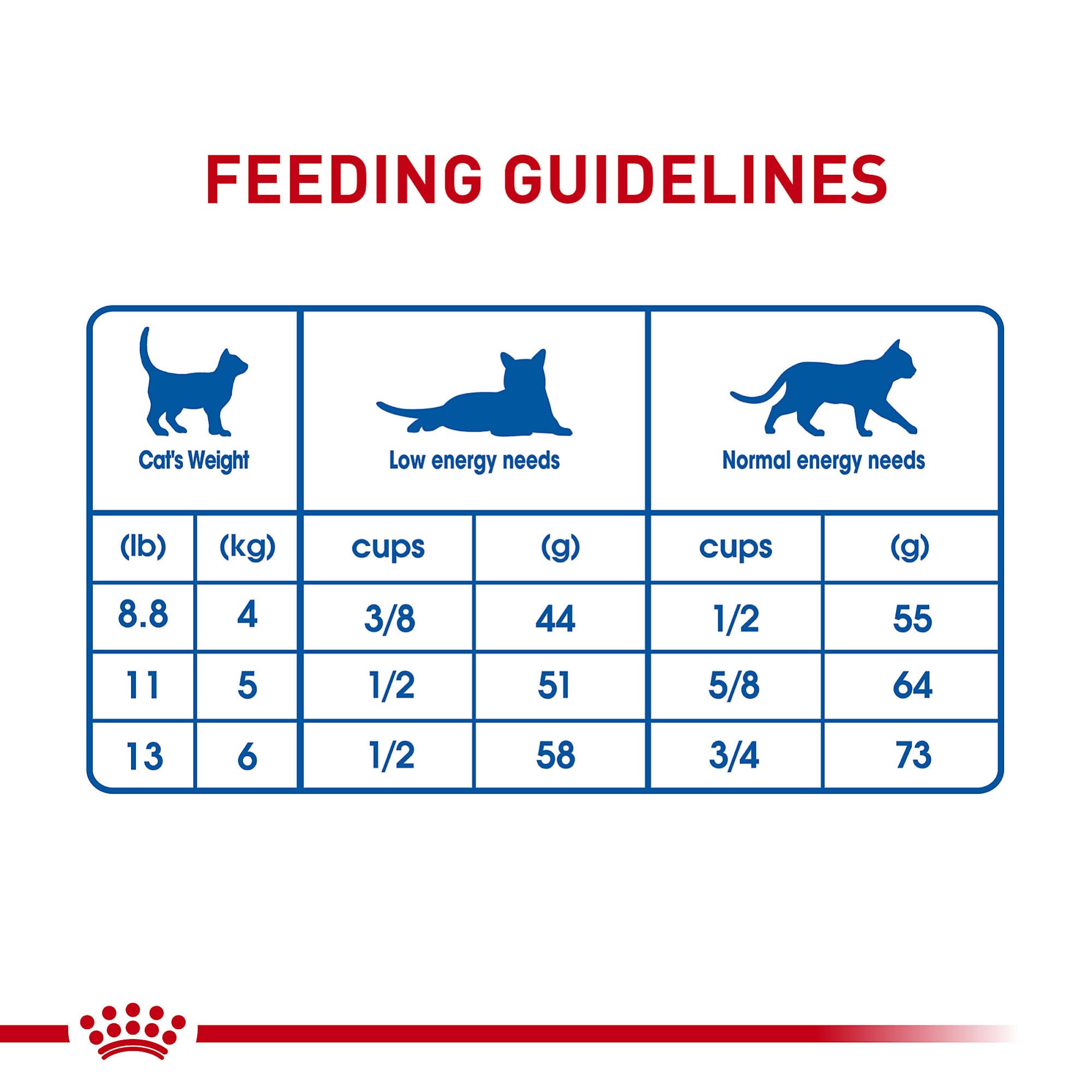 Royal Canin chat se reposant à l’intérieur montrant bien-être et satiété