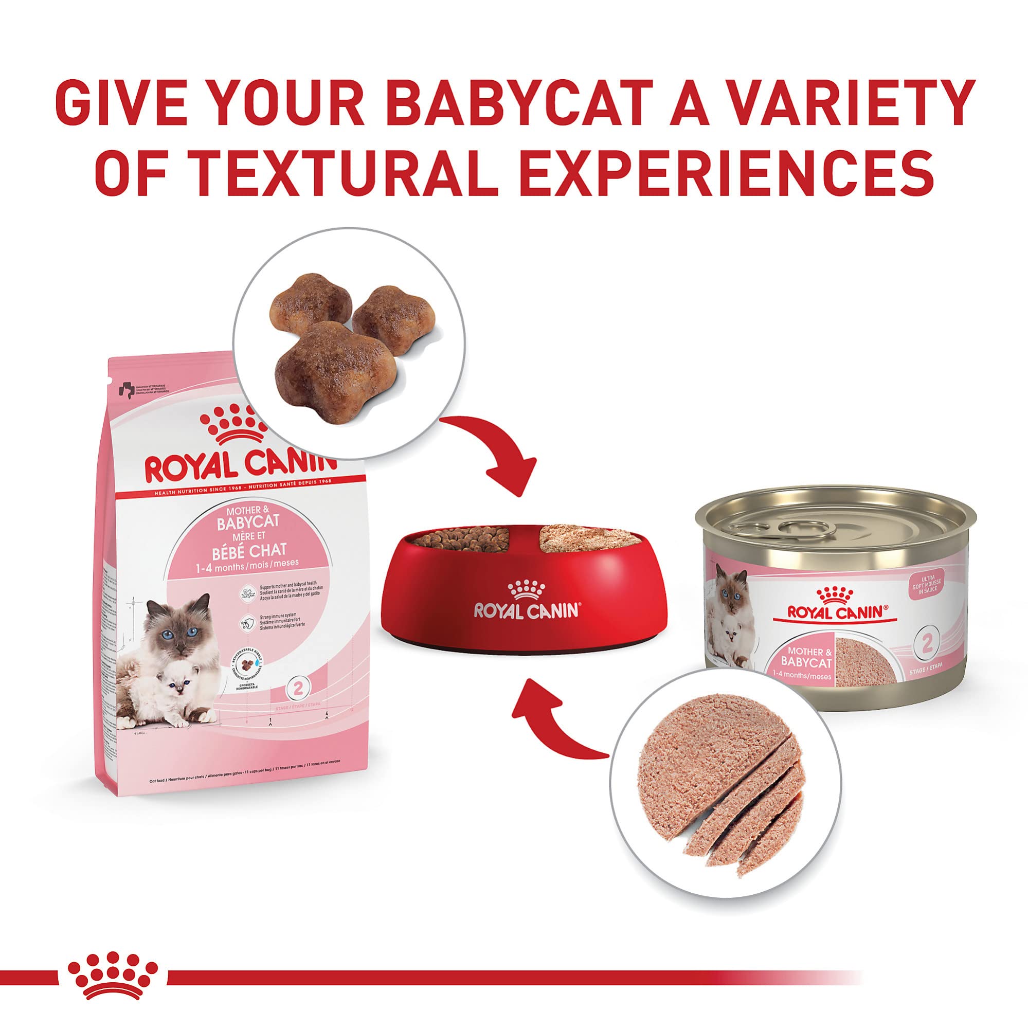 ROYAL CANIN chatte allaitant ses chatons pour soutien énergétique maternel
