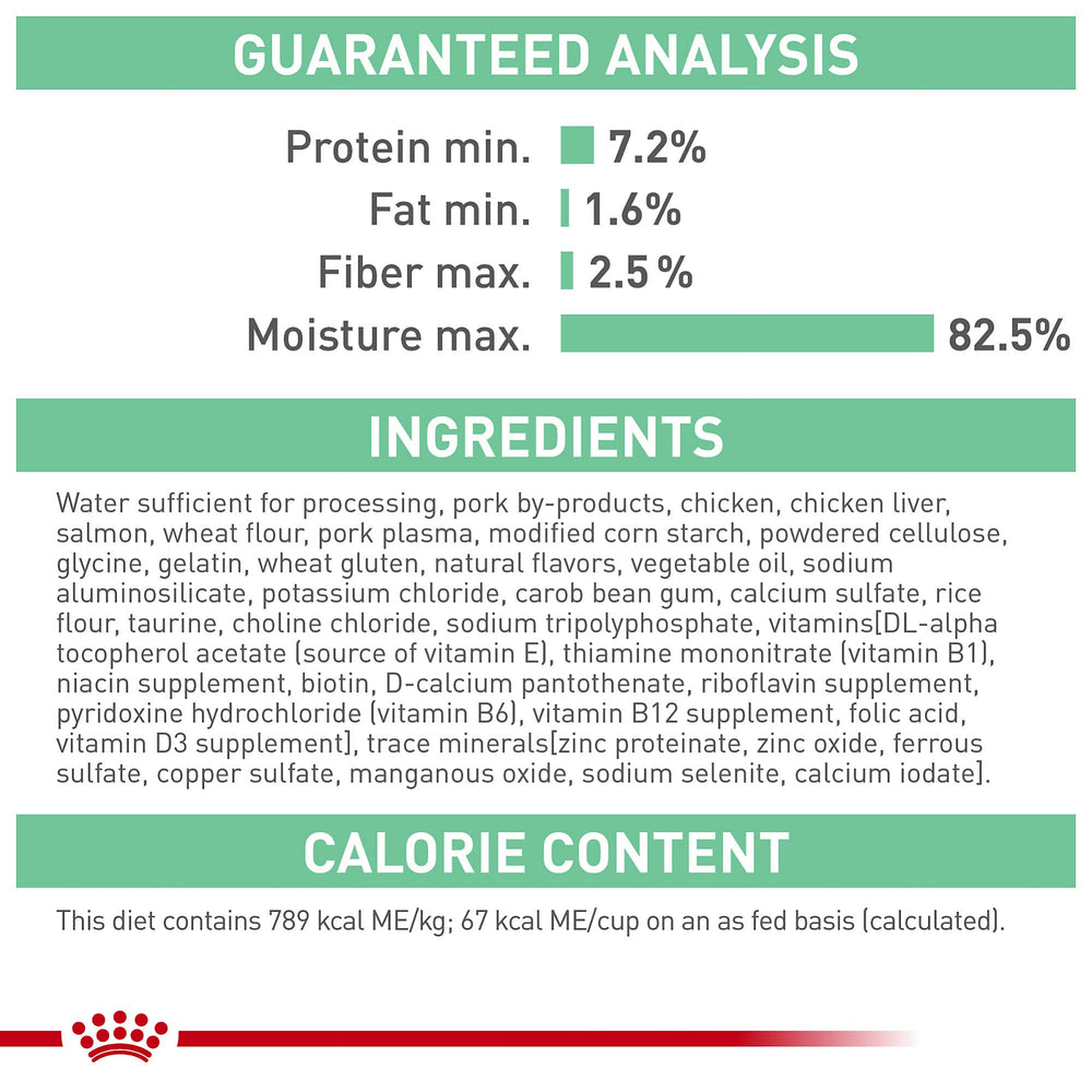 ROYAL CANIN chat mangeant la pâtée montrant appétence et confort digestif