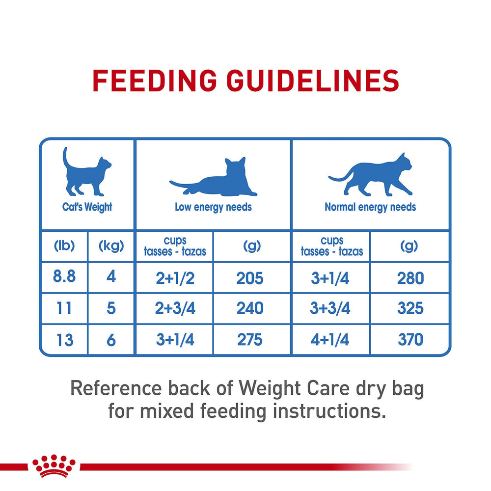 ROYAL CANIN chat mange montre acceptation et plaisir gustatif garanti par recette