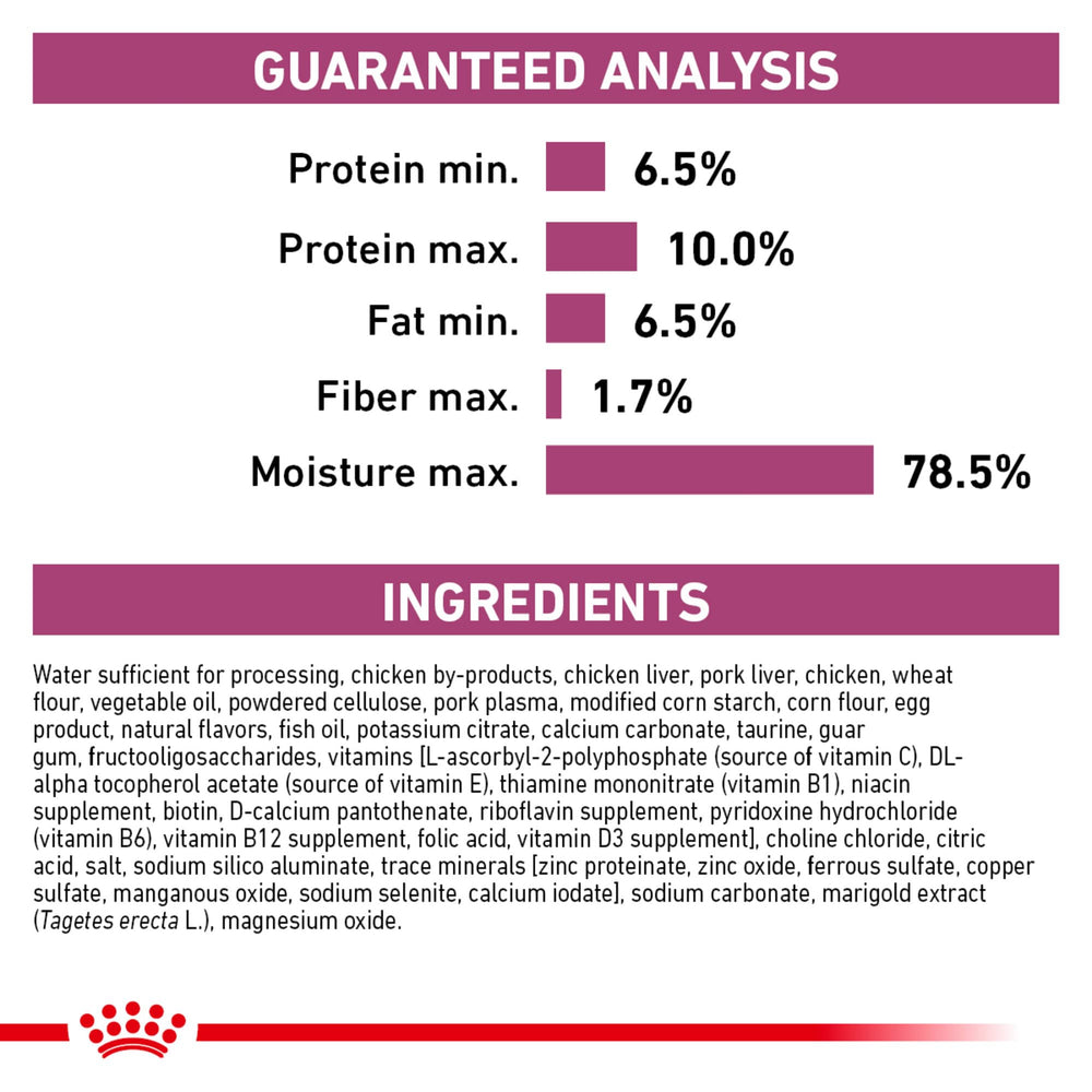 ROYAL CANIN chat qui mange montrant acceptation et stimulation de l'appétit