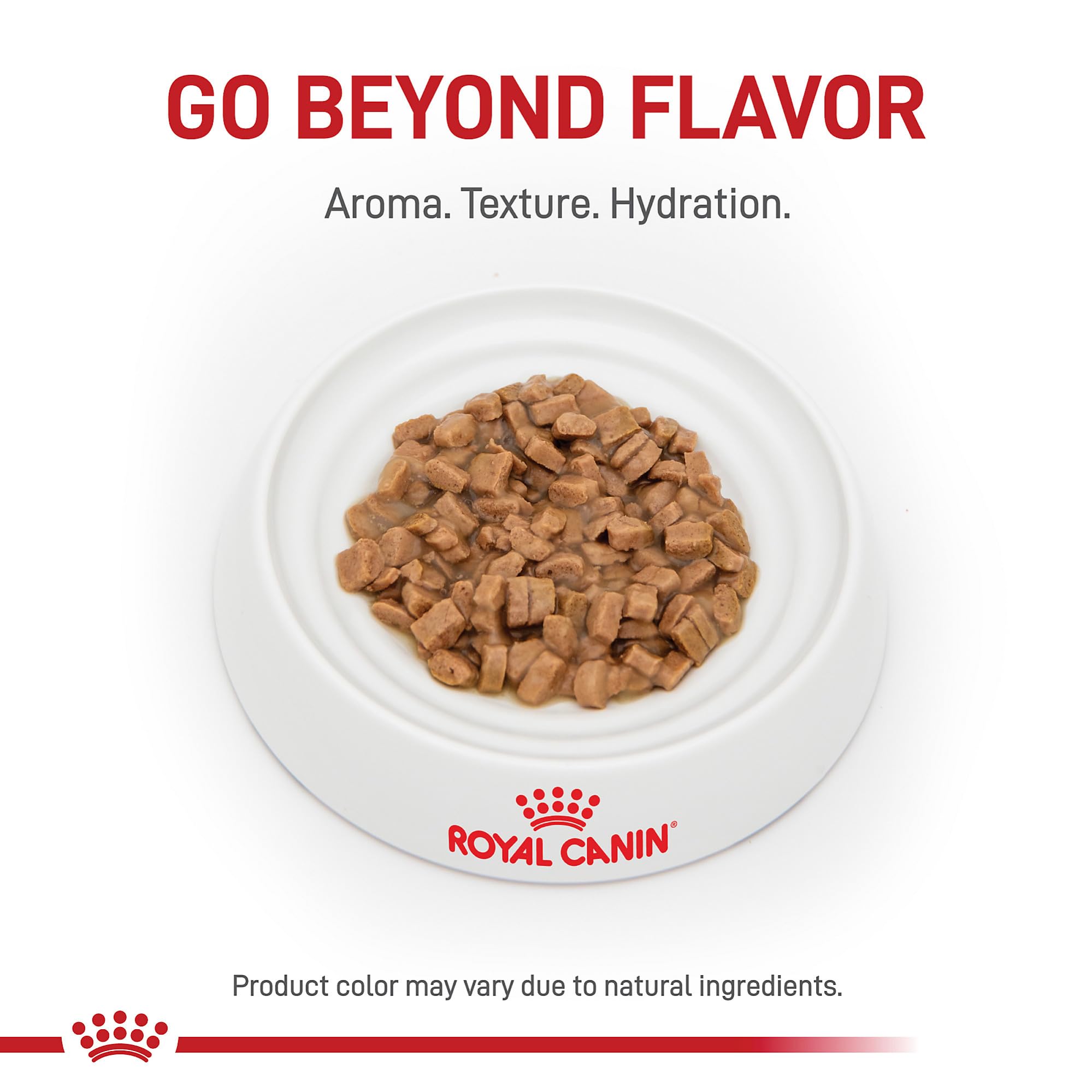 ROYAL CANIN chat qui mange, encourage apport hydrique et appétit