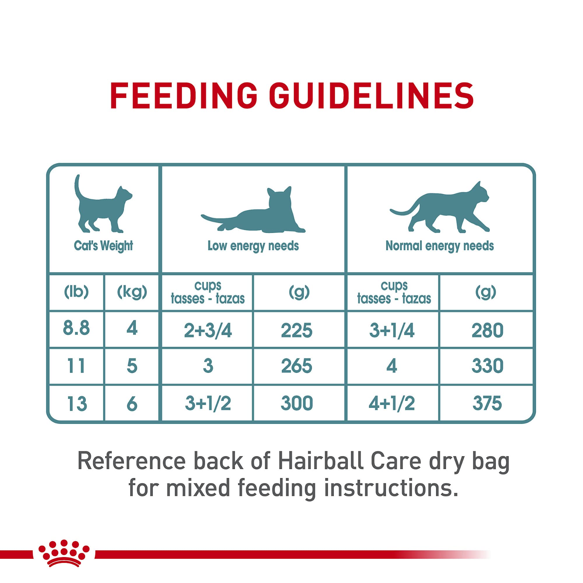 ROYAL CANIN chat qui mange content à la maison montrant acceptation et confort digestif