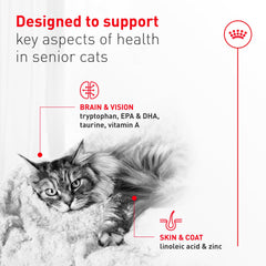 ROYAL CANIN chat senior mangeant facilement la mousse appétente