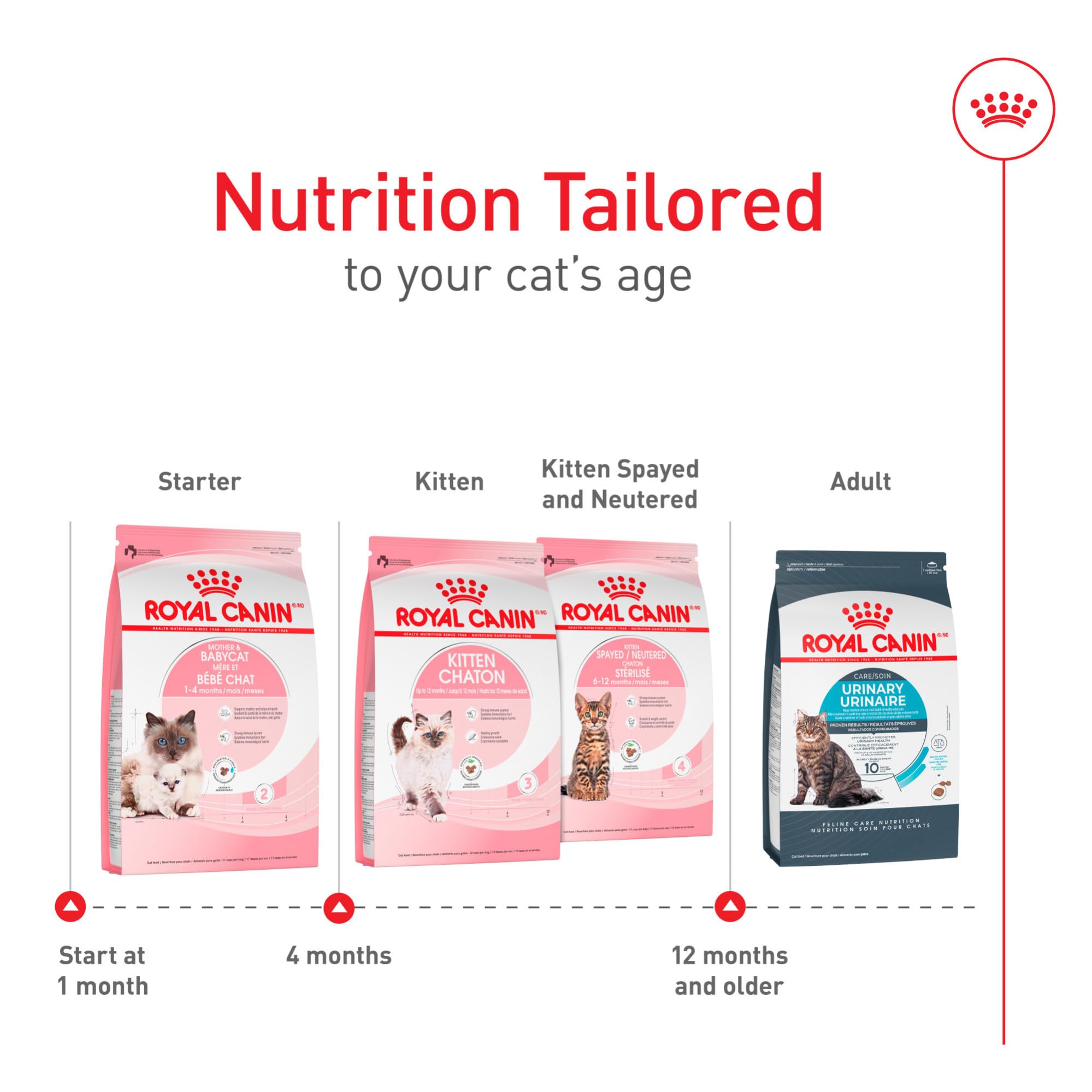 ROYAL CANIN chaton mangeant croquettes pour favoriser croissance saine