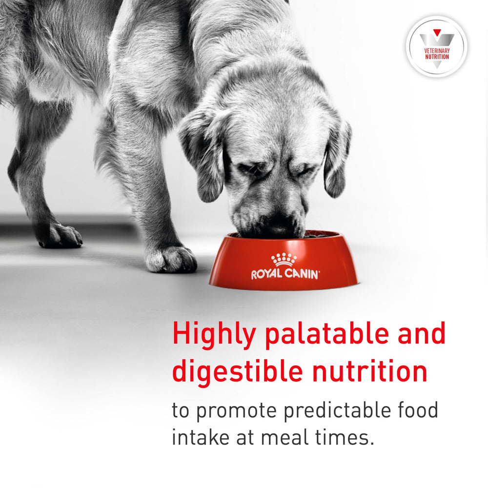ROYAL CANIN chien adulte chez vétérinaire montrant usage recommandé