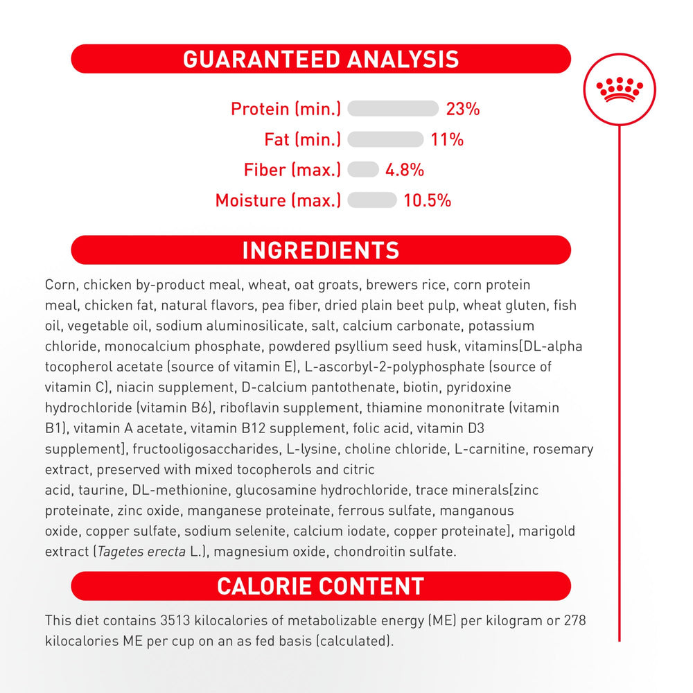 ROYAL CANIN chien au jardin illustrant énergie et bien-être quotidien