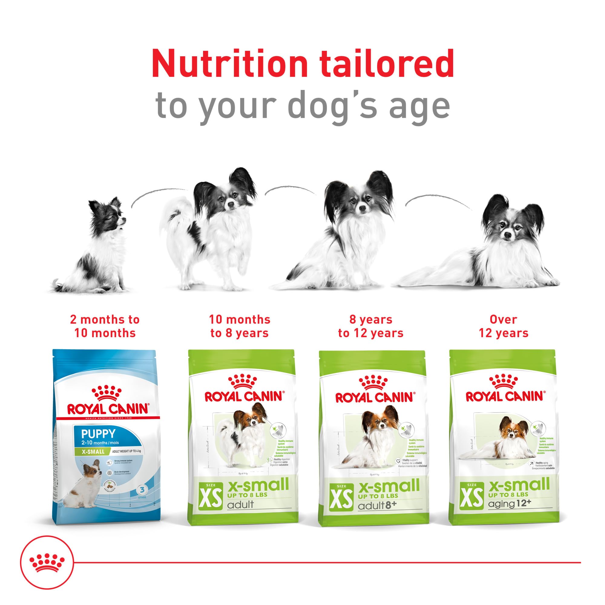 Royal Canin petit chien mangeant la croquette pour vitalité