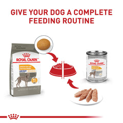 ROYAL CANIN grand chien mangeant croquettes pour peau nourrie