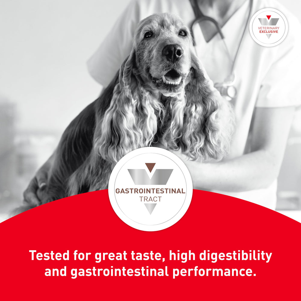 ROYAL CANIN chien mange dans intérieur, image montrant confort digestif