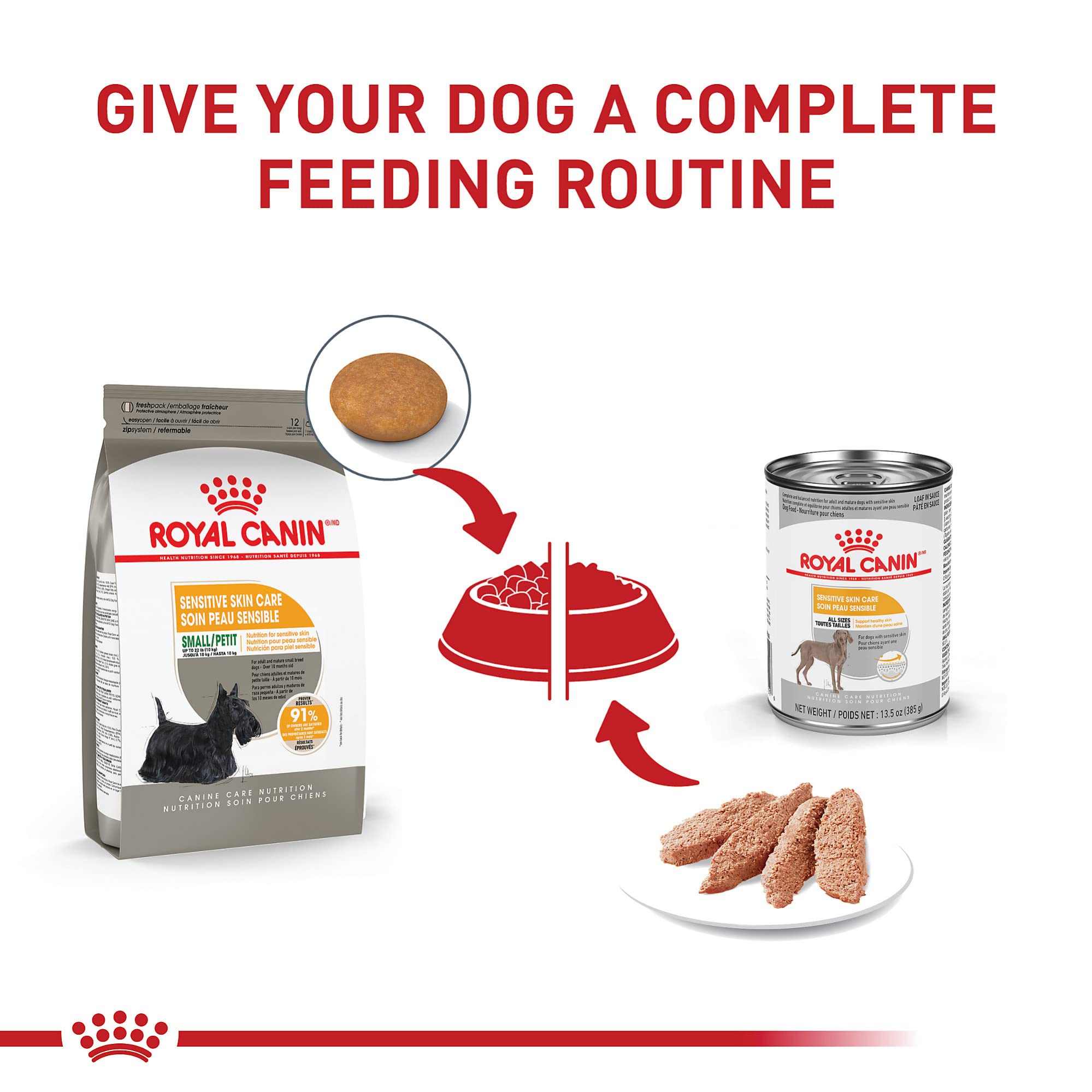 ROYAL CANIN petit chien mangeant les croquettes montrant appétit et confort cutané