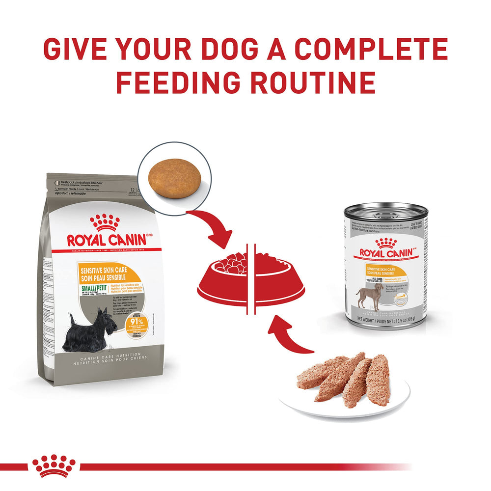 ROYAL CANIN petit chien mangeant les croquettes montrant appétit et confort cutané