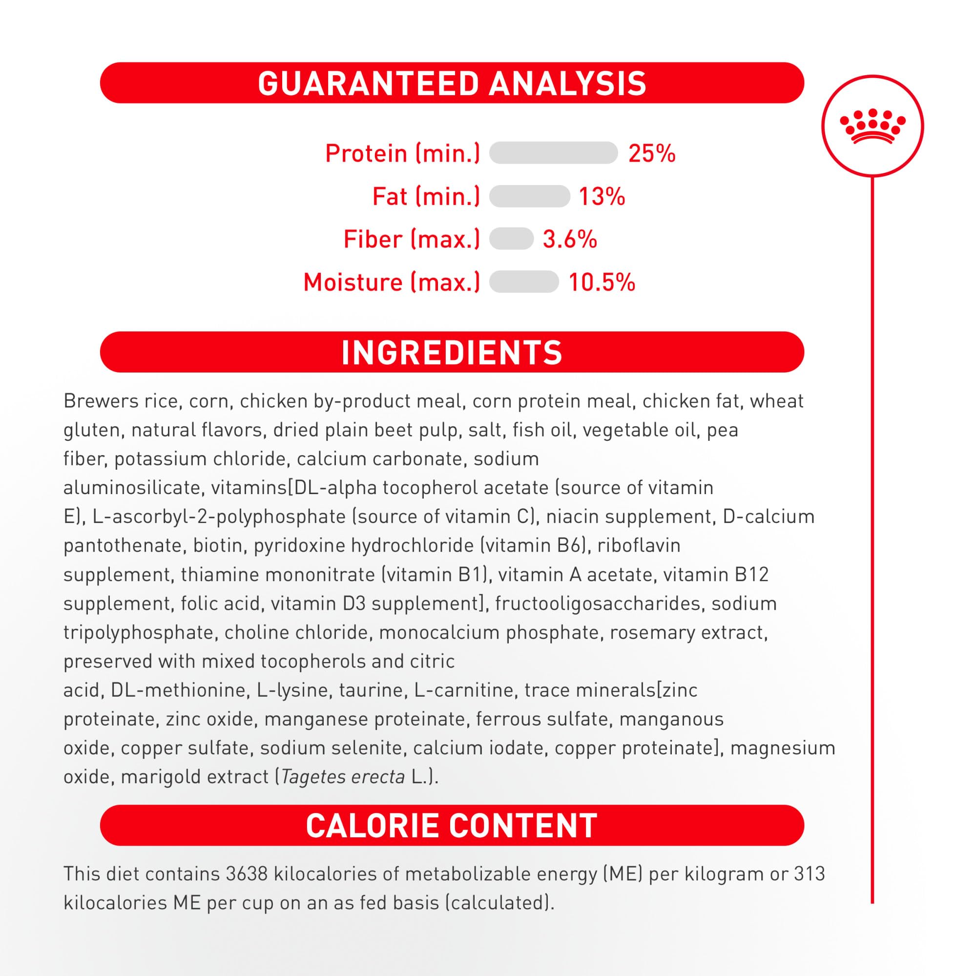 ROYAL CANIN Chihuahua en intérieur illustrant énergie et bien-être quotidien