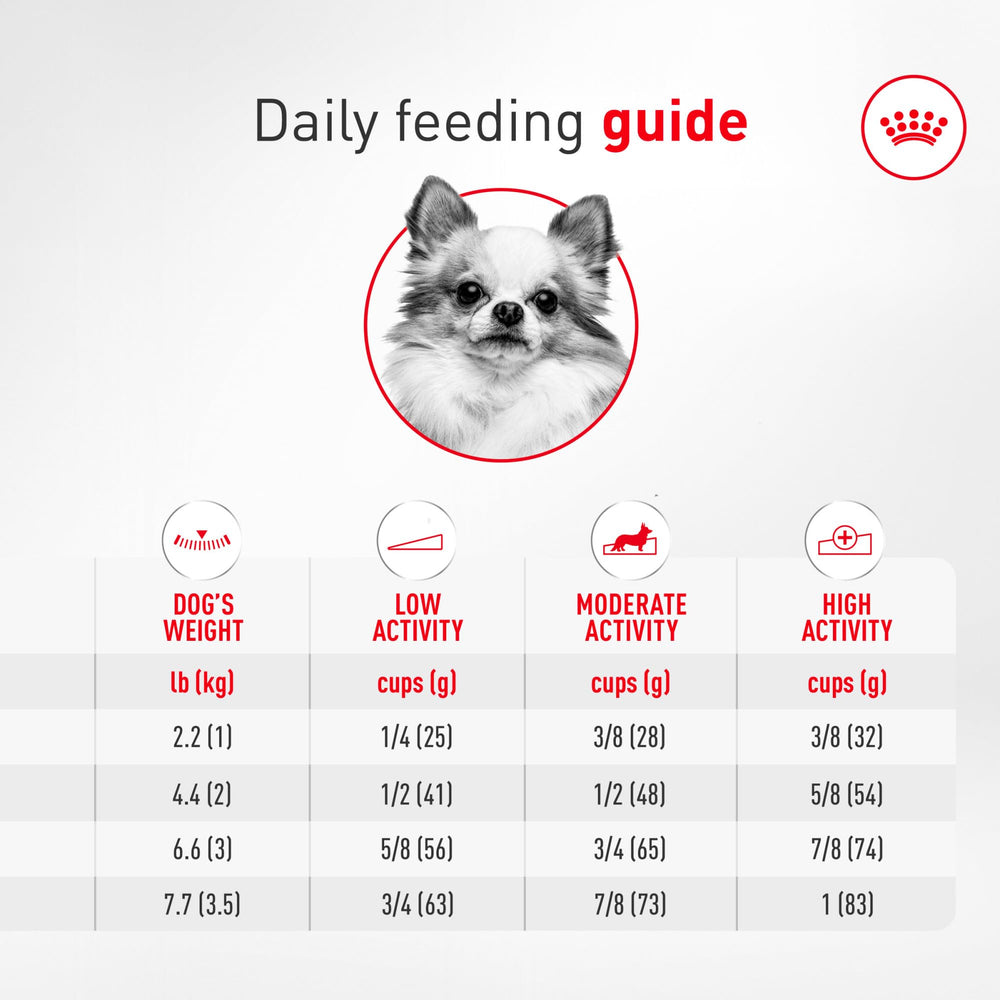 ROYAL CANIN zoom sur pelage montrant brillance et soutien cutané grâce à la formule