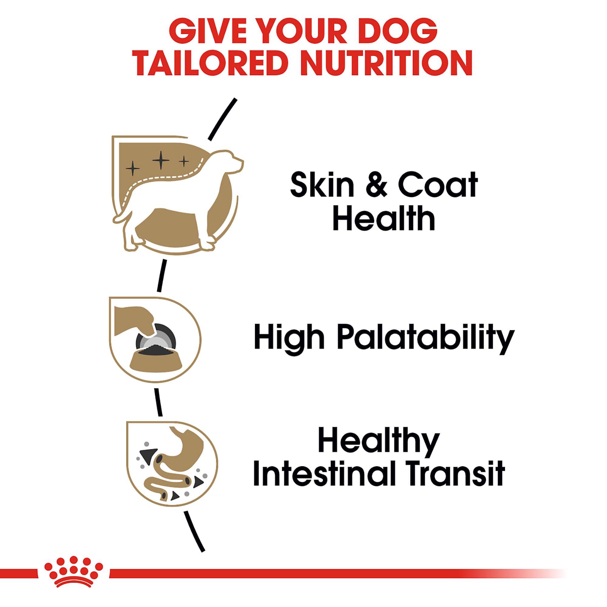 ROYAL CANIN texture pâtée gros plan, appétit stimulé instantanément
