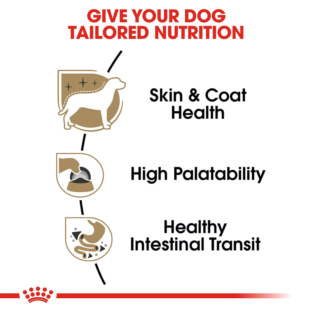 ROYAL CANIN texture pâtée gros plan, appétit stimulé instantanément