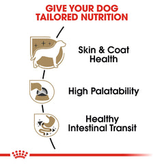 ROYAL CANIN texture pâtée gros plan, appétit stimulé instantanément