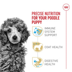 ROYAL CANIN chiot Caniche mangeant dans un bol illustrant l'acceptation et la praticité