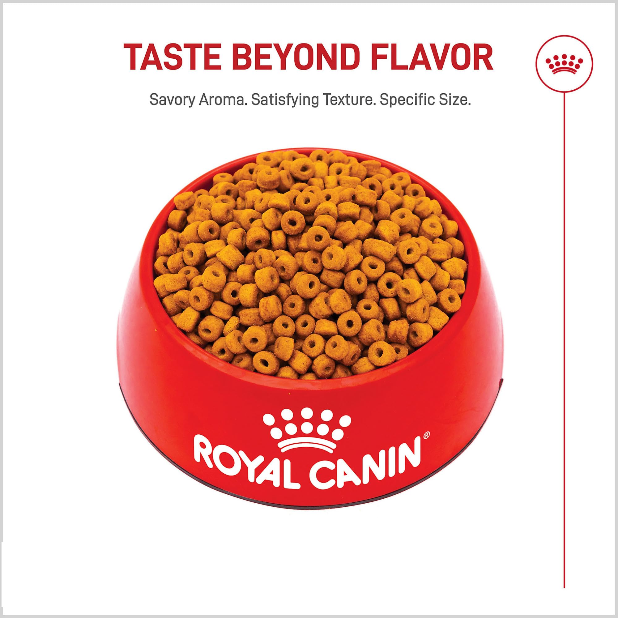 Royal Canin chiot Labrador mangeant en cuisine illustrant appétence et confort