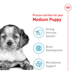 ROYAL CANIN chiot mange croquettes pour croissance et énergie