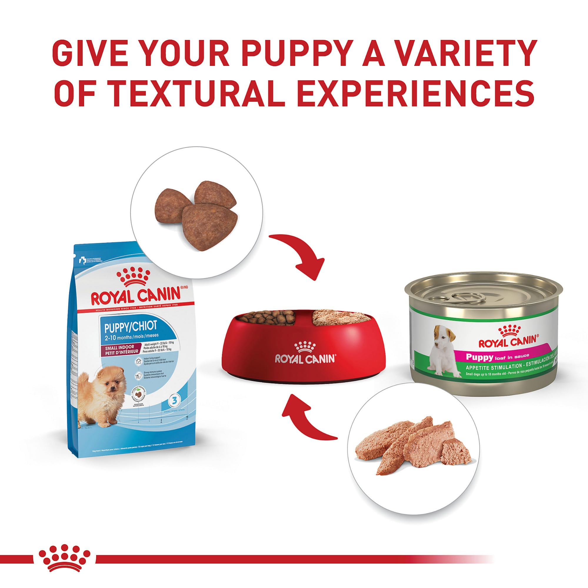 Royal Canin chiot mangeant au bol en intérieur montrant confort d’alimentation