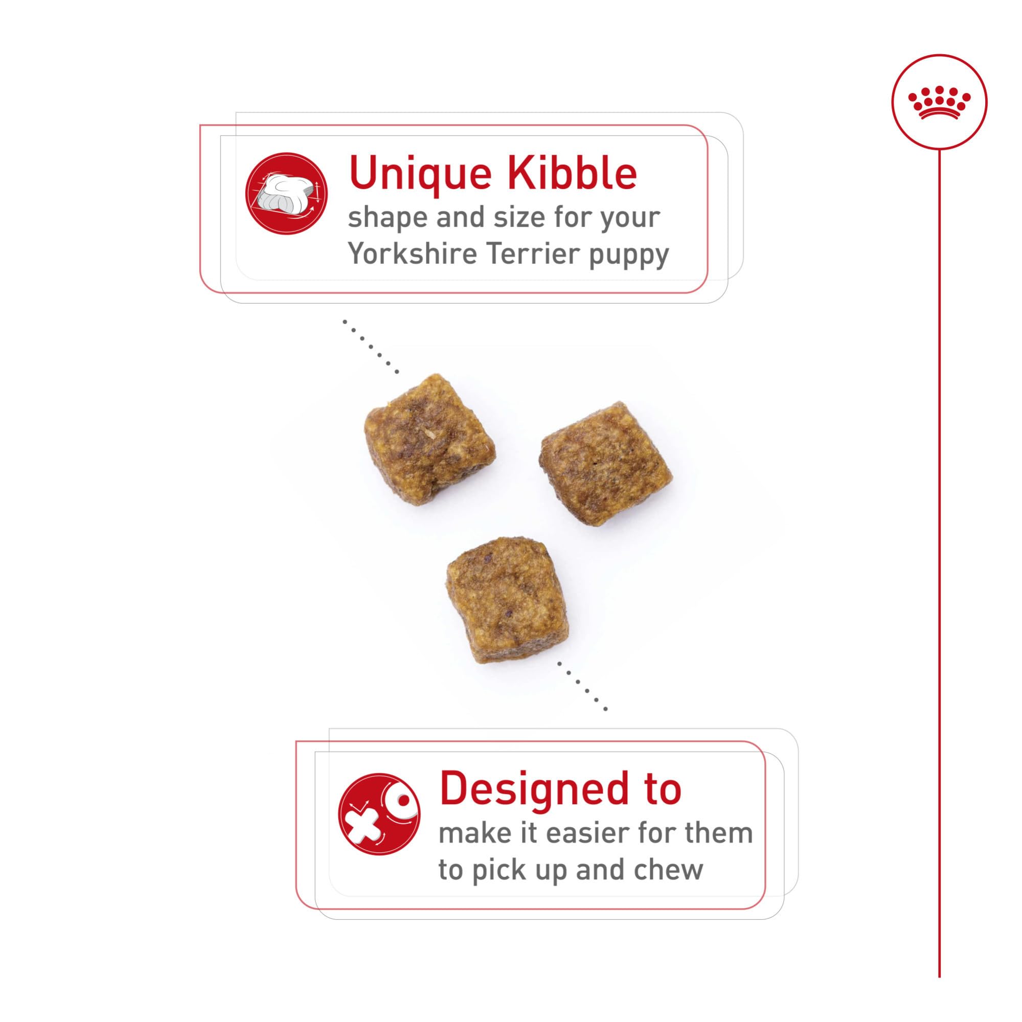 ROYAL CANIN chiot Yorkshire mangeant des croquettes pour une mastication aisée