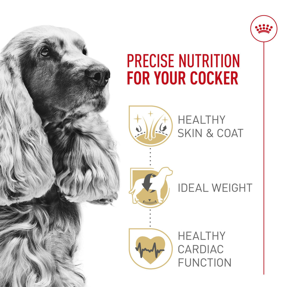 ROYAL CANIN portion adulte montrée pour contrôle des rations quotidiennes