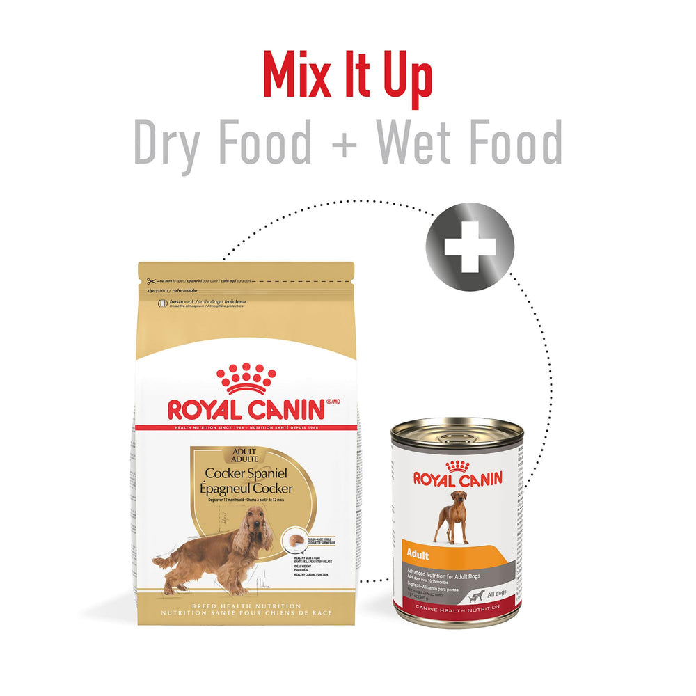 ROYAL CANIN sac 6 lb vu de côté pratique pour stockage domestique