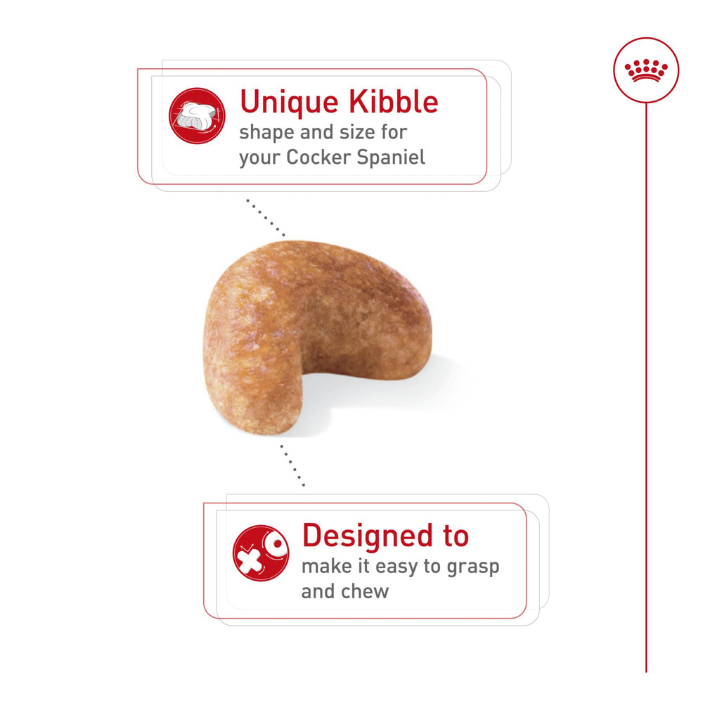 ROYAL CANIN texture croquette en gros plan pour mastication efficace