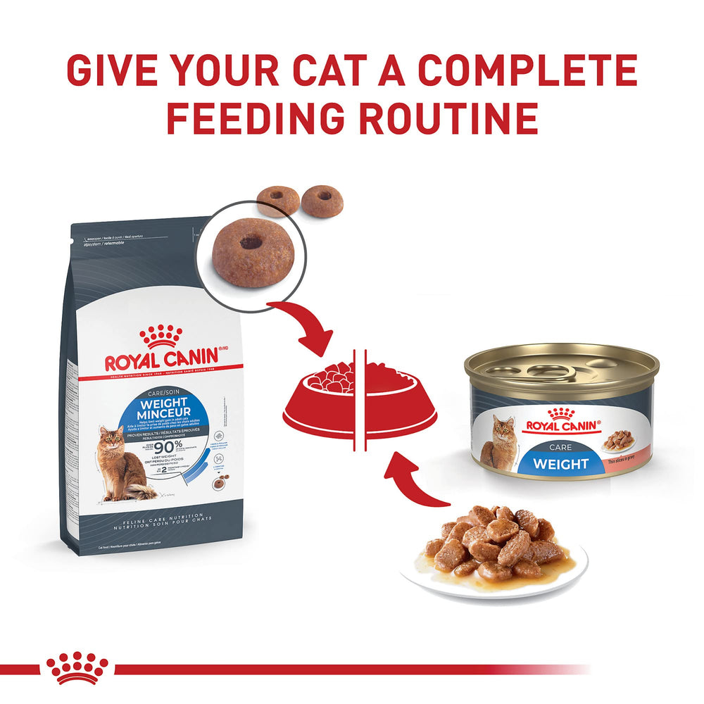 ROYAL CANIN comparaison taille boîte dans une main pour évaluer portion