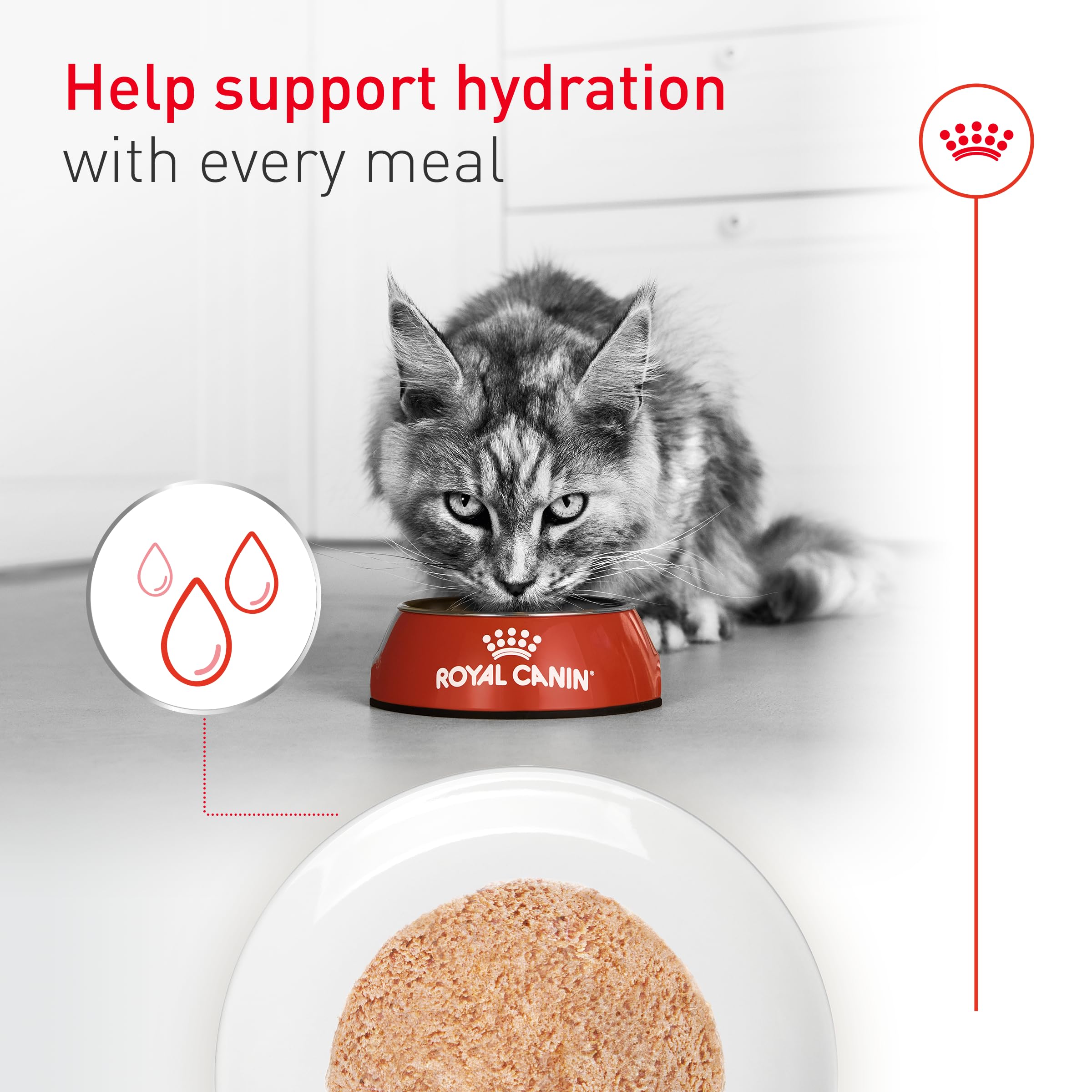 ROYAL CANIN comparaison de taille de la boîte pour portion par chat