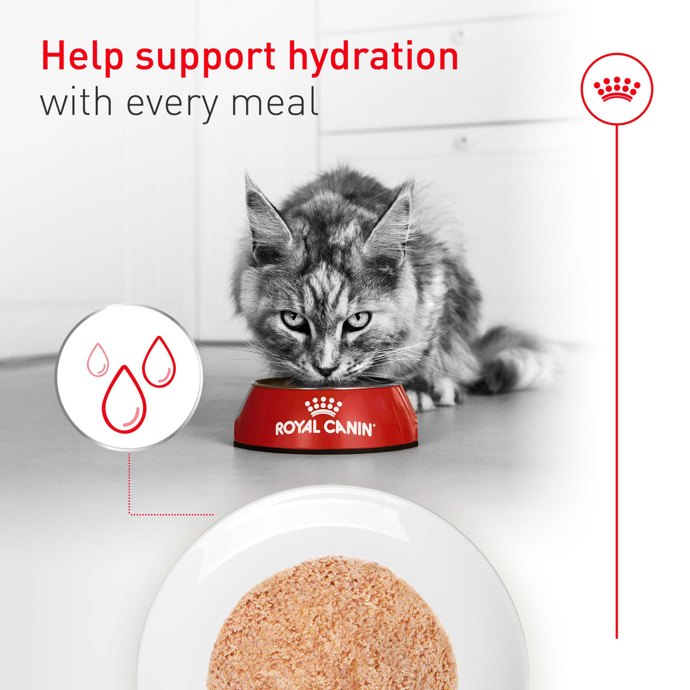 ROYAL CANIN comparaison de taille de la boîte pour portion par chat