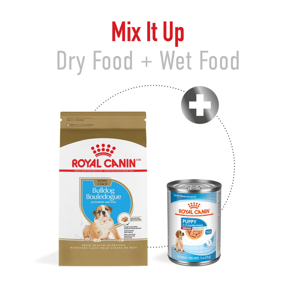 ROYAL CANIN main tenant croquette pour illustrer taille adaptée bulldog
