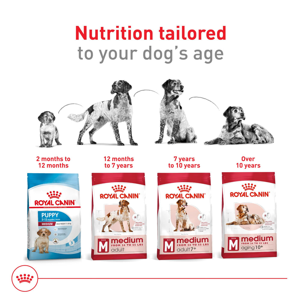 ROYAL CANIN comparaison de taille de croquette montrant l'adaptation aux chiens moyens
