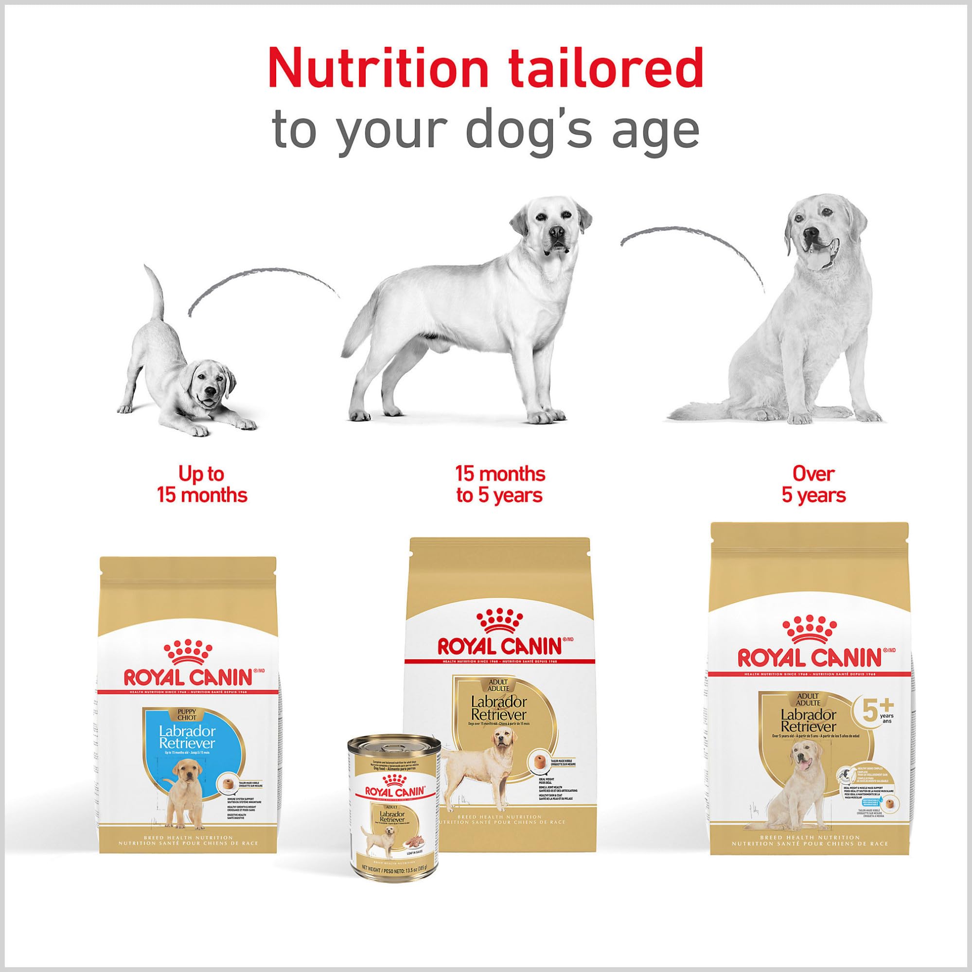 Royal Canin comparaison taille croquettes versus main illustrant proportion adaptée